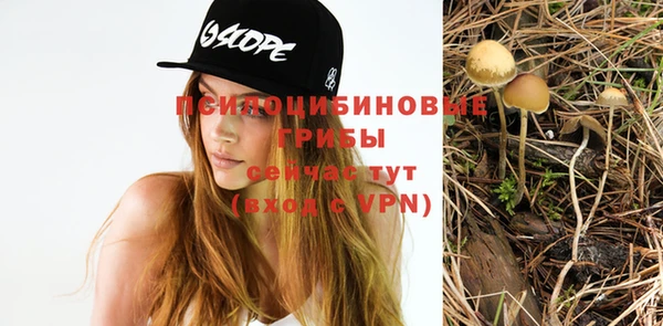 метадон Алексеевка