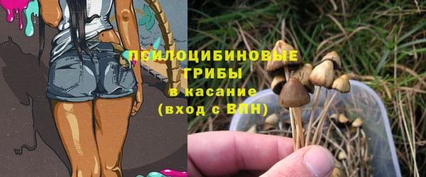 эйфоретик Алзамай