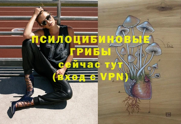 эйфоретик Алзамай
