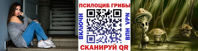 МЕГА ССЫЛКА  купить закладку  Бавлы  Галлюциногенные грибы мухоморы 